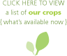 Click Here to view a list of our crops (what's available now)